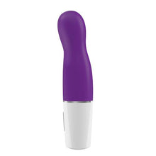 Load image into Gallery viewer, mini vibrator