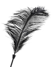 Load image into Gallery viewer, Fetish Fantasy Limited Edition Love Plume