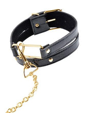 Load image into Gallery viewer, Fetish Fantasy Gold Collar &amp; Leash